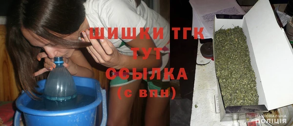 шишки Абаза
