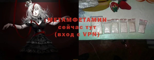 шишки Абаза