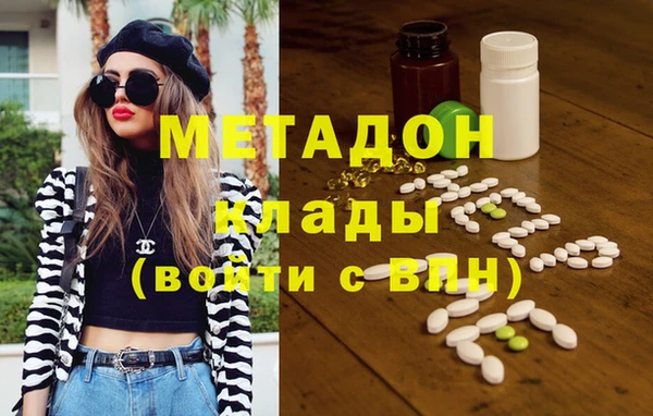 шишки Абаза