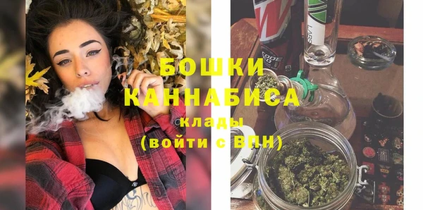 шишки Абаза