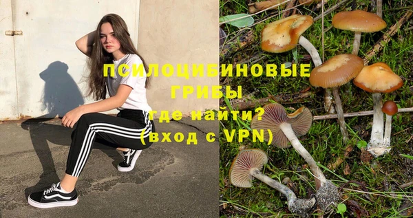 шишки Абаза