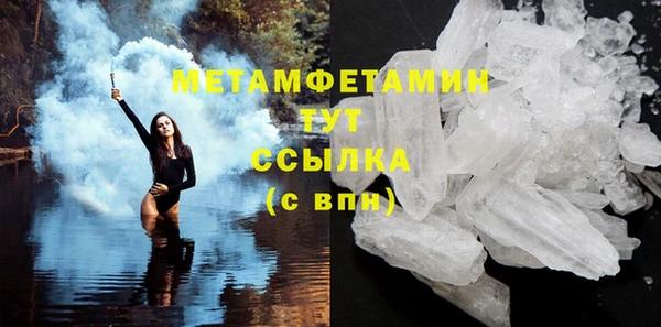 шишки Абаза