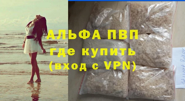 шишки Абаза