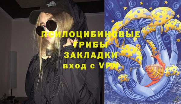шишки Абаза