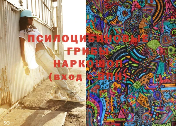 винт Няндома
