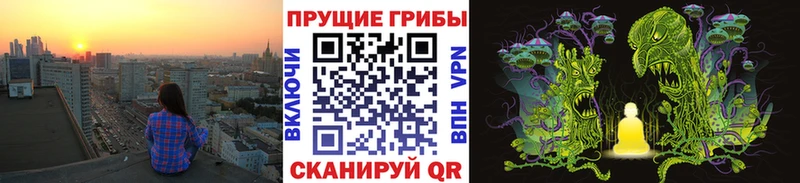 как найти   Киржач  Галлюциногенные грибы Cubensis 